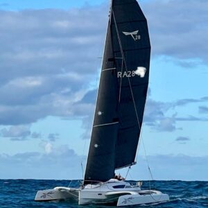 Dragonfly 28 Performance #237